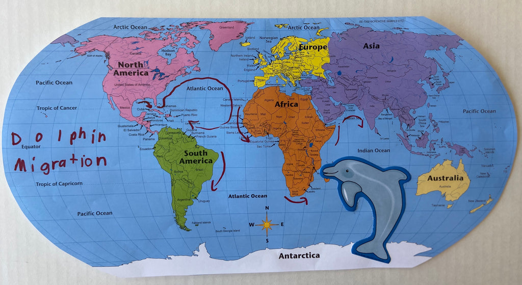 simple map of the world with oceans