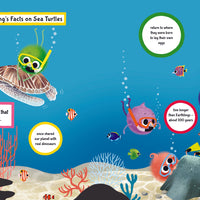 Childrens Book - Sea Turtles, Oceans and Climate Change