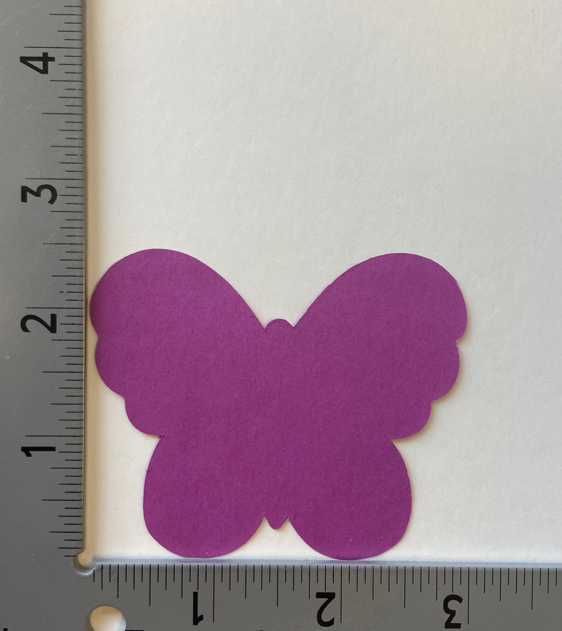 Butterfly Assorted Color Creative Cut Outs 3