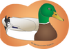 Large Notepad - Mallard Duck - Creative Shapes Etc.