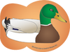 Mini Notepad - Mallard Duck - Creative Shapes Etc.