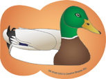 Mini Notepad - Mallard Duck - Creative Shapes Etc.