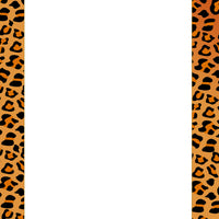 Designer Paper - Leopard (50 Sheet Package) - Creative Shapes Etc.